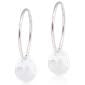 Sleepers with Assorted Crystal Shapes - Natural Titanium