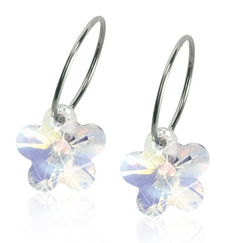 Sleepers with Assorted Crystal Shapes - Natural Titanium