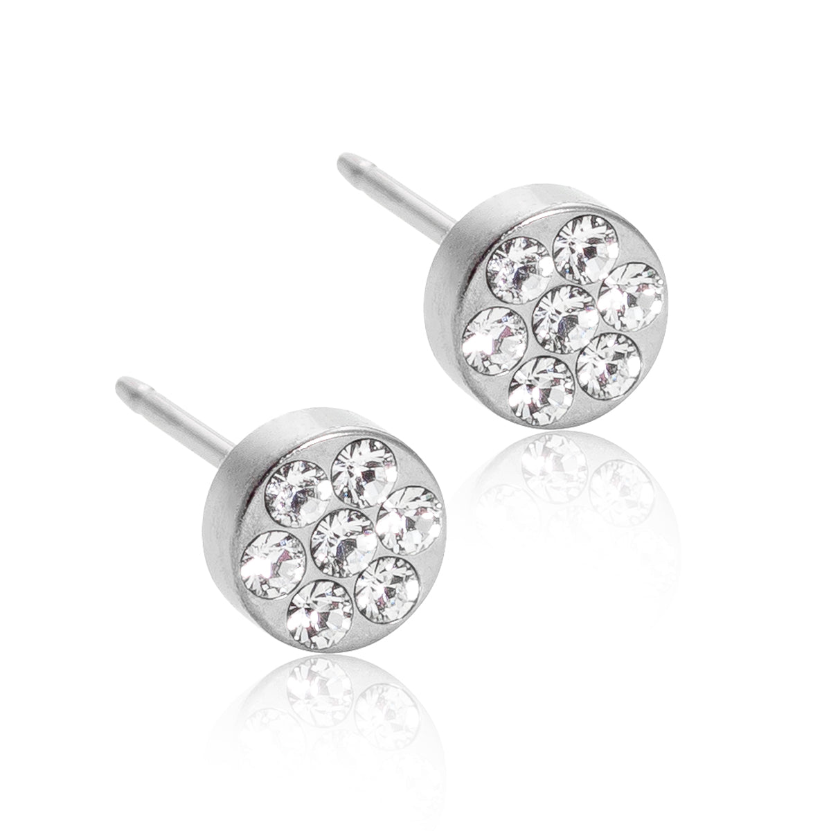 Brilliance Plenary 5mm - Titanium Earrings